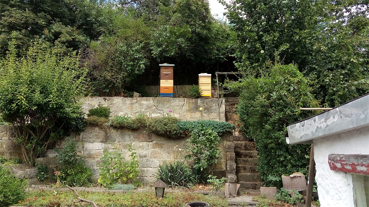 Cottaer Blütenhonig: Bienenstand